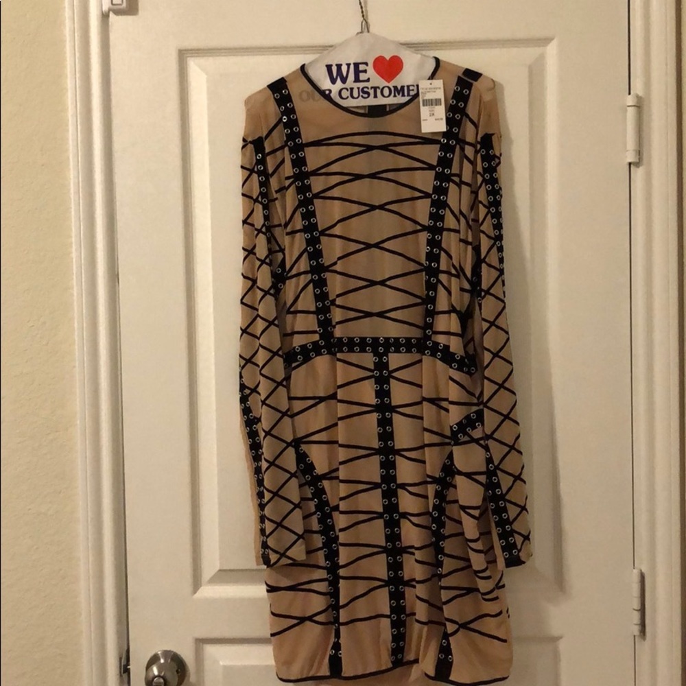 Mesh Body Con Mini Dress - 2X